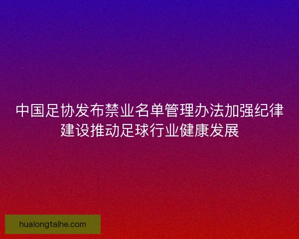 中国足协发布禁业名单管理办法加强纪律建设推动足球行业健康发展